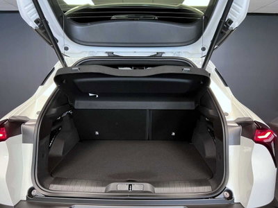 Alfa Romeo Junior 1.2 ibrida Speciale 145cv edct6 (19)