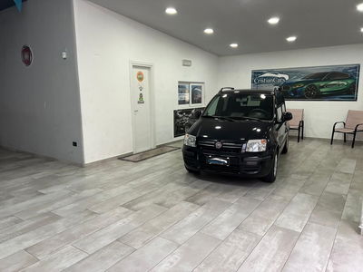 Fiat Panda 1.2 Emotion usata