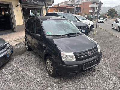 Fiat Panda 1.2 Dualogic usata