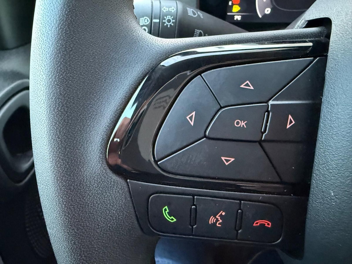 Fiat Panda 1.0 FireFly S&S Hybrid (15)