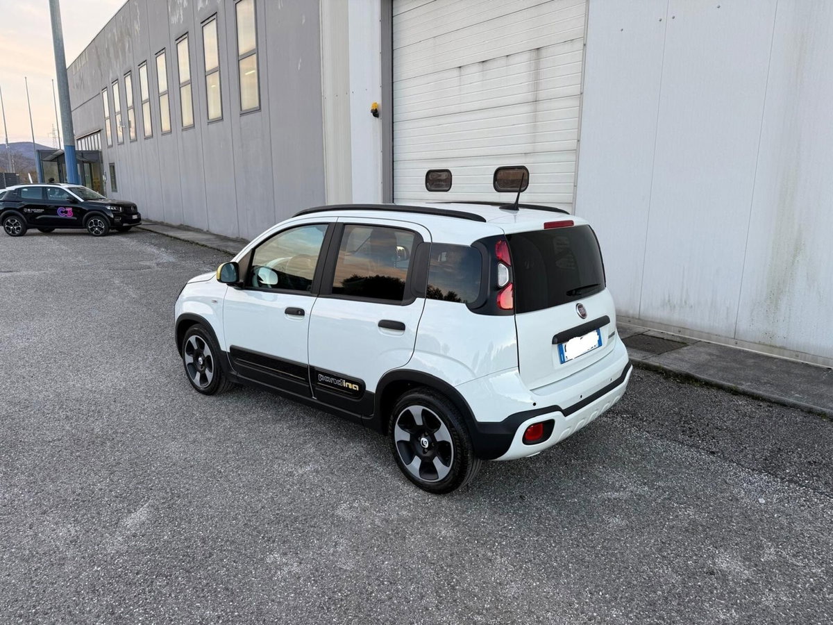 Fiat Panda 1.0 FireFly S&S Hybrid (3)