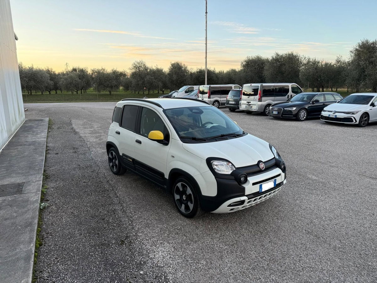 Fiat Panda 1.0 FireFly S&S Hybrid (6)