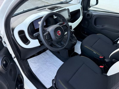 Fiat Panda 1.0 FireFly S&S Hybrid (9)