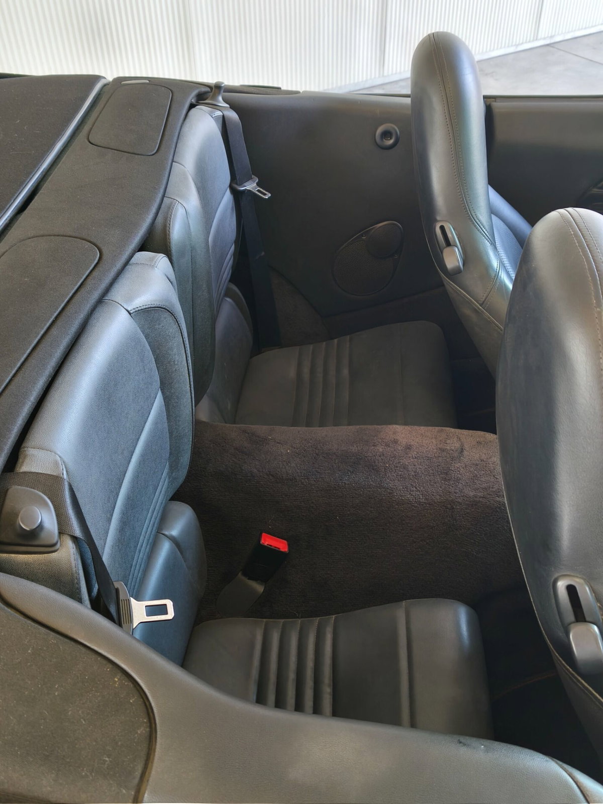 Porsche 911 Cabrio Carrera cat (17)