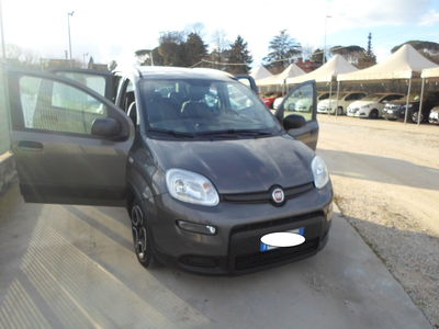 Fiat Panda Cross Cross 1.0 FireFly S&S Hybrid usata