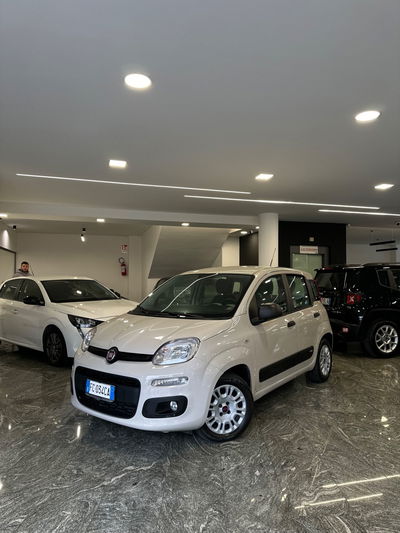 Fiat Panda 1.3 MJT 95 CV S&S Easy usata