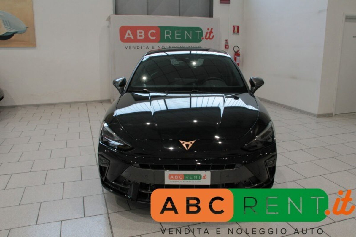 Cupra Leon Leon 2.0 tdi 150cv dsg (3)