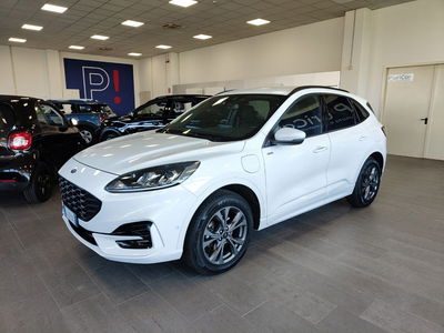 Ford Kuga 2.5 Plug In Hybrid 225 CV CVT 2WD ST-Line usata