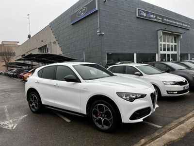 Alfa Romeo Stelvio Stelvio 2.2 Turbodiesel 210 CV AT8 Q4 Veloce usata