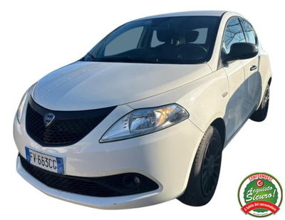 Lancia Ypsilon 1.2 69 CV 5 porte Platinum usata
