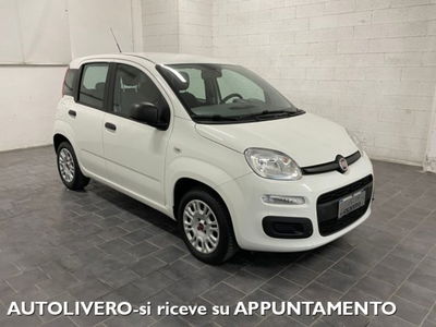 Fiat Panda 1.2 Easy usata