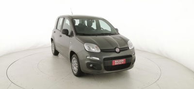 Fiat Panda 1.2 Easy usata