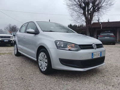 Volkswagen Polo 1.2 TDI DPF 5 p. Comfortline usata