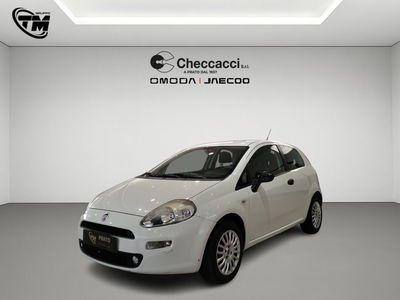 Fiat Punto 1.2 8V 3 porte Lounge usata