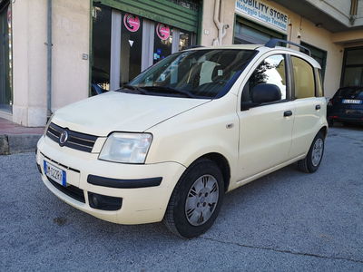 Fiat Panda 1.2 Dynamic usata