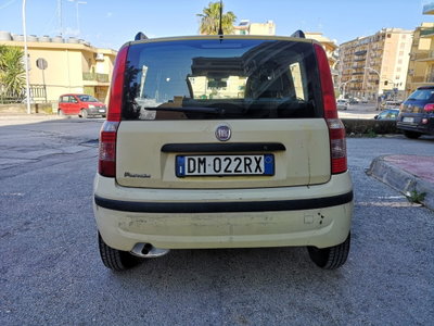 Fiat Panda 1.2 Dynamic (6)