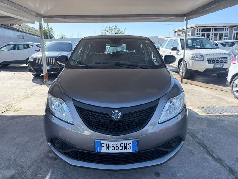 Lancia Ypsilon 1.2 69 CV 5 porte Elefantino