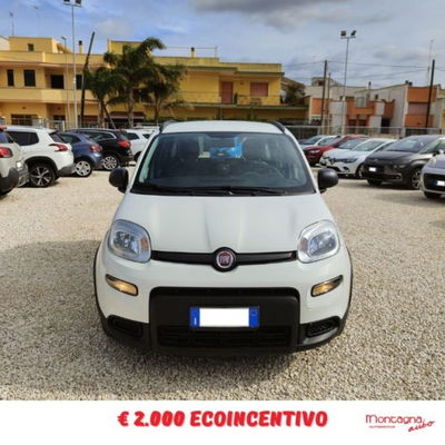 Fiat Panda 1.0 firefly hybrid s&s 70cv 5p.ti usata