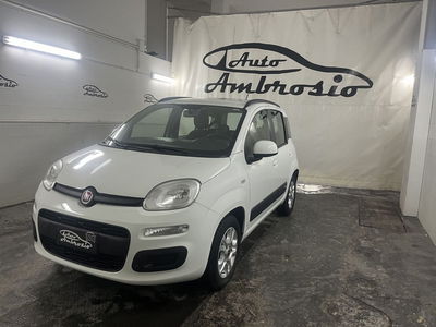 Fiat Panda 1.2 Lounge usata
