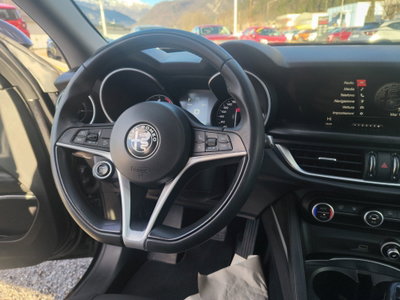 Alfa Romeo Stelvio Stelvio 2.2 Turbodiesel 180 CV AT8 Q4 Business (14)