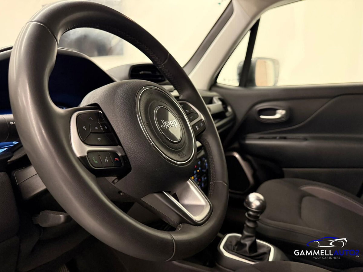 Jeep Renegade 1.6 Mjt 130 CV Limited (11)