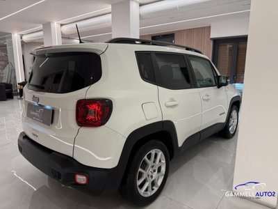 Jeep Renegade 1.6 Mjt 130 CV Limited (6)