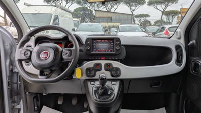 Fiat Panda Cross 1.0 firefly hybrid Cross s&s 70cv 5p.ti (6)