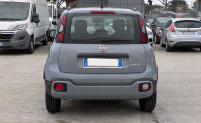 Fiat Panda Cross 1.0 firefly hybrid Cross s&s 70cv 5p.ti (16)
