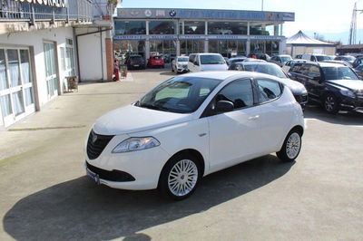 Lancia Ypsilon 1.2 69 CV 5 porte Elefantino usata