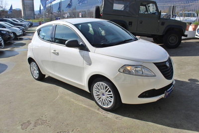 Lancia Ypsilon 1.2 69 CV 5 porte Elefantino (2)