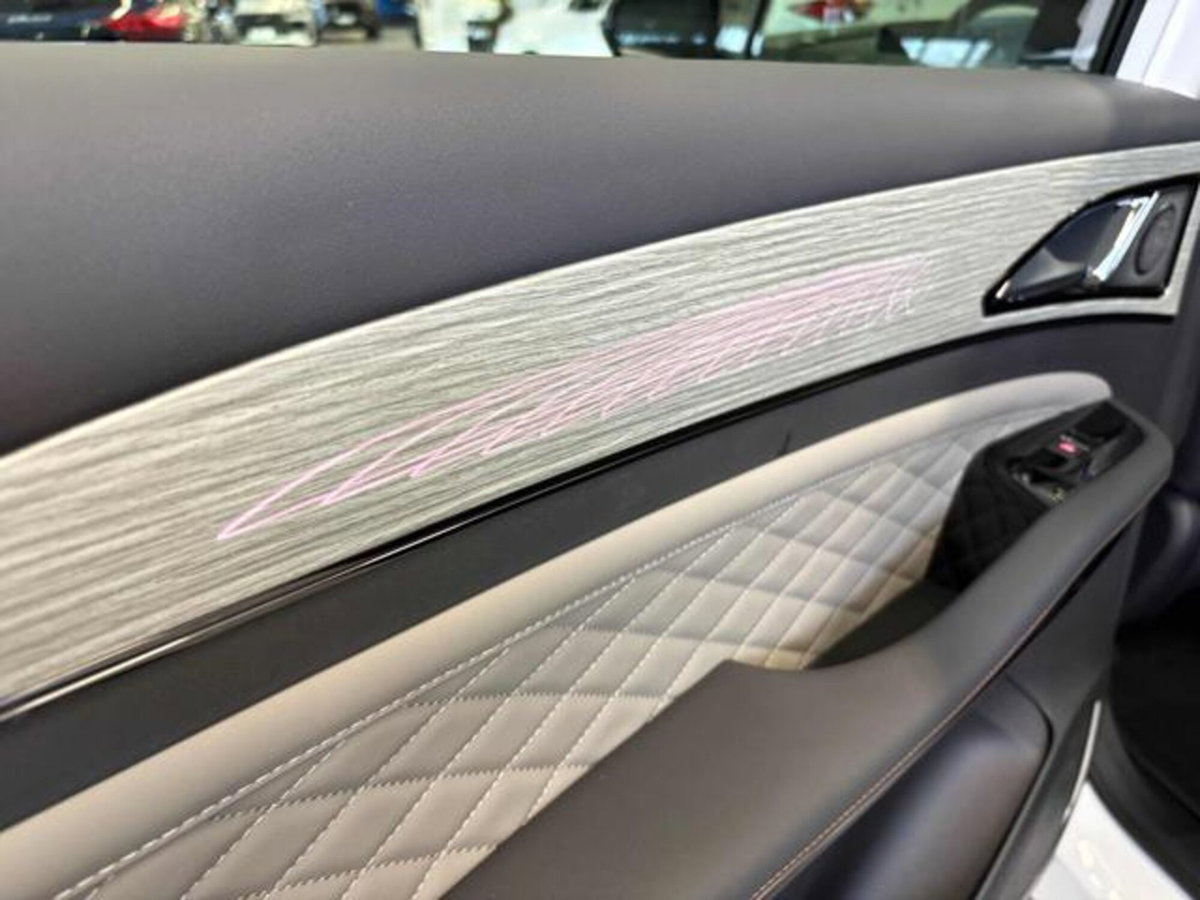 Evo Evo Spazio 1.5 turbo Gpl 167cv dct (12)