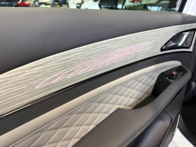 Evo Evo Spazio 1.5 turbo Gpl 167cv dct (12)