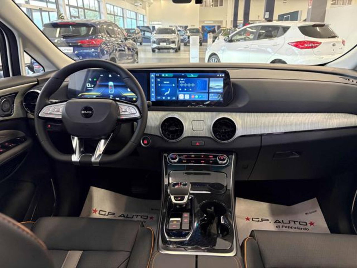 Evo Evo Spazio 1.5 turbo Gpl 167cv dct (15)