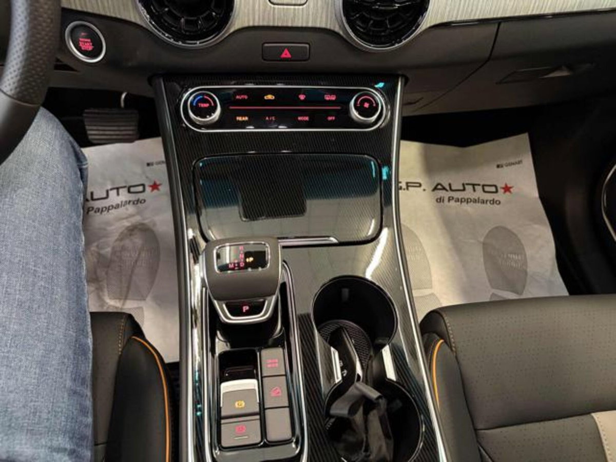 Evo Evo Spazio 1.5 turbo Gpl 167cv dct (19)