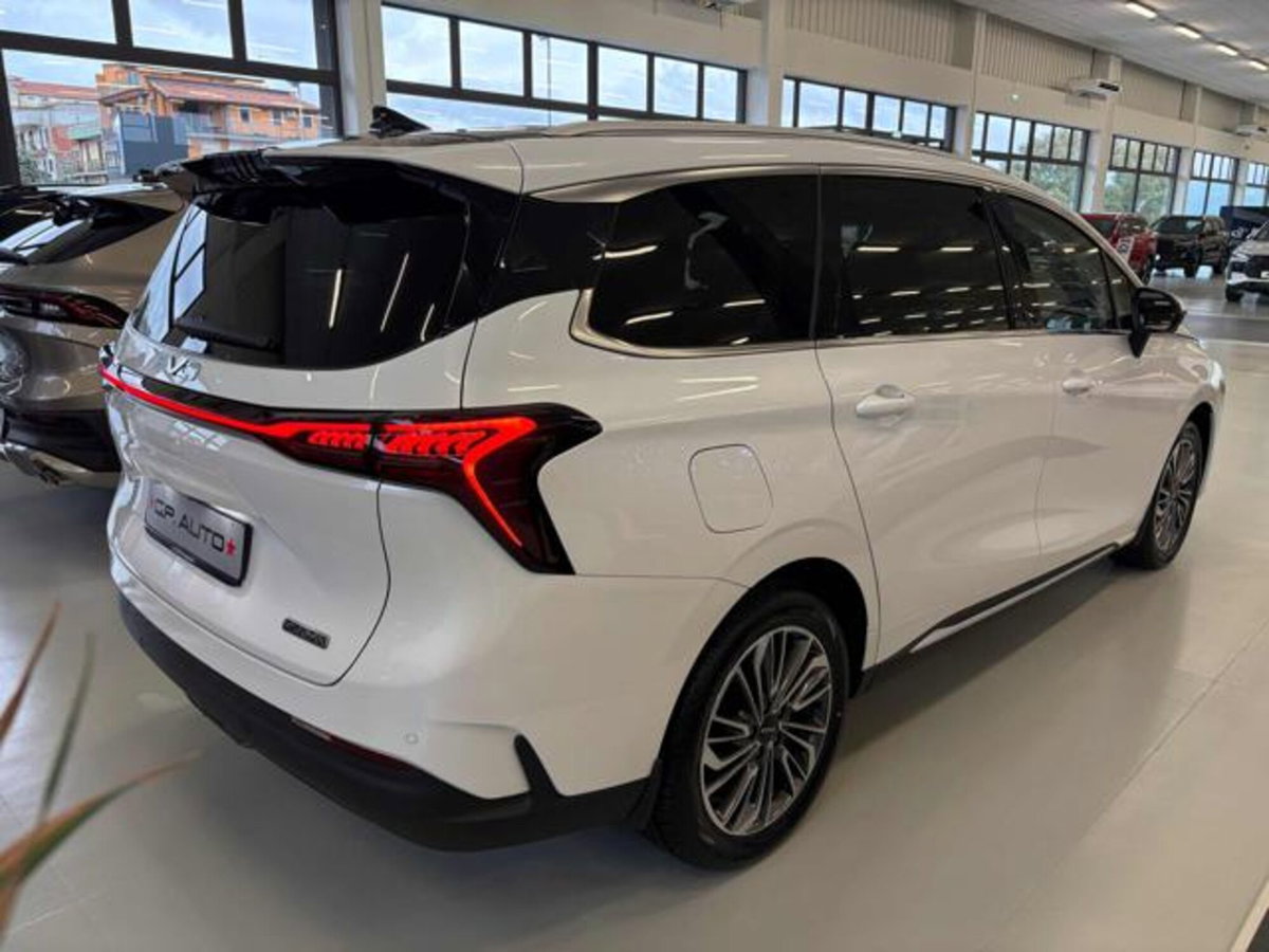 Evo Evo Spazio 1.5 turbo Gpl 167cv dct (3)