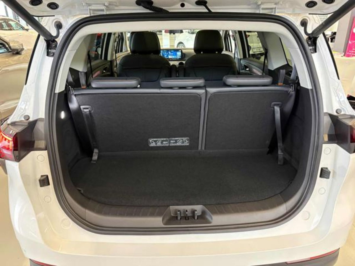 Evo Evo Spazio 1.5 turbo Gpl 167cv dct (6)