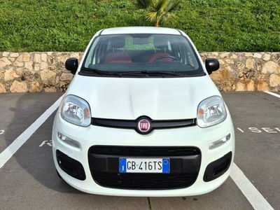Fiat Panda 1.2 Pop usata