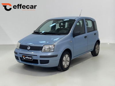 Fiat Panda 1.1 Active Eco usata