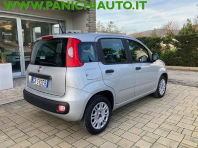 Fiat Panda 1.2 Easy (5)