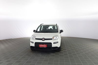 Fiat Panda 1.0 FireFly S&S Hybrid City Cross usata