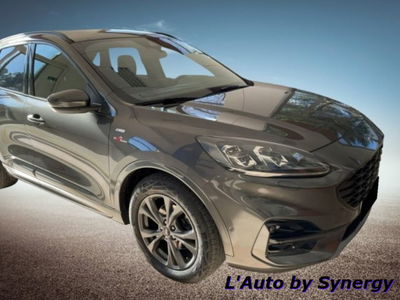 Ford Kuga 2.0 EcoBlue 190 CV aut. AWD ST-Line X usata