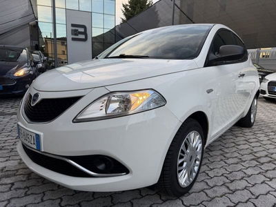 Lancia Ypsilon 1.2 69 CV 5 porte Gold usata