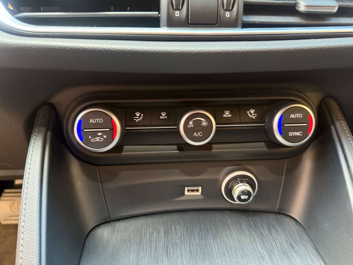 Alfa Romeo Stelvio Stelvio 2.2 Turbodiesel 190 CV AT8 Q4 Sprint (11)