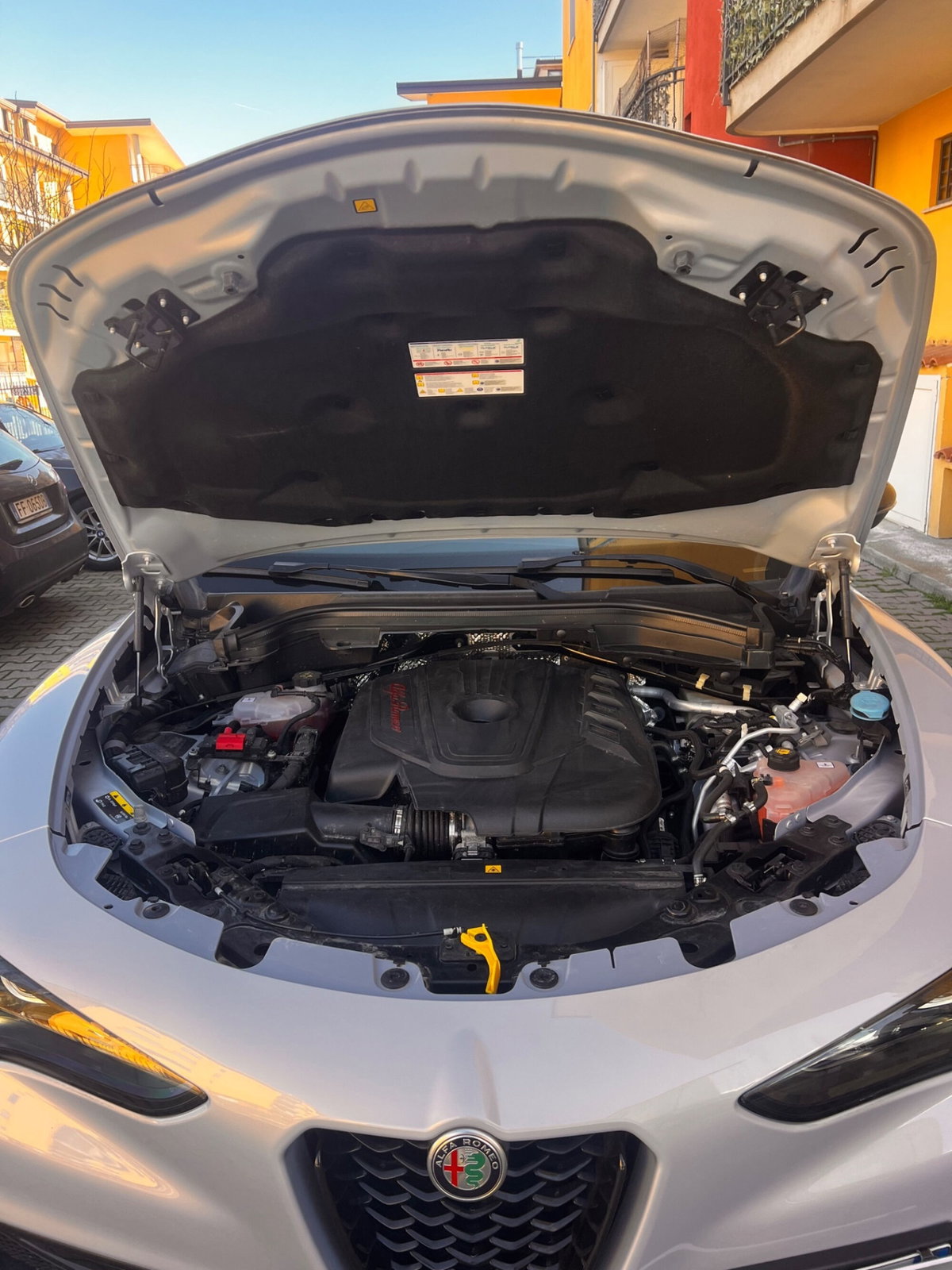 Alfa Romeo Stelvio Stelvio 2.2 Turbodiesel 210 CV AT8 Q4 Veloce (10)