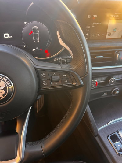 Alfa Romeo Stelvio Stelvio 2.2 Turbodiesel 210 CV AT8 Q4 Veloce (14)