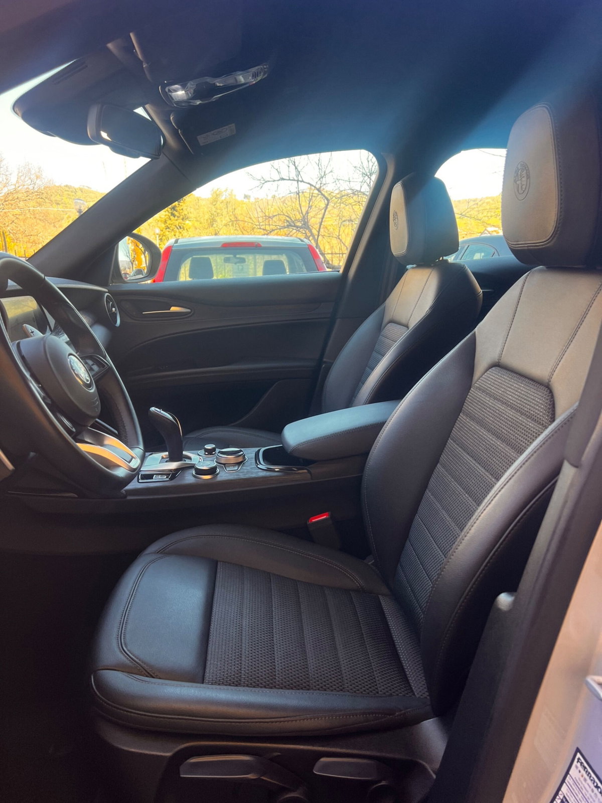 Alfa Romeo Stelvio Stelvio 2.2 Turbodiesel 210 CV AT8 Q4 Veloce (19)