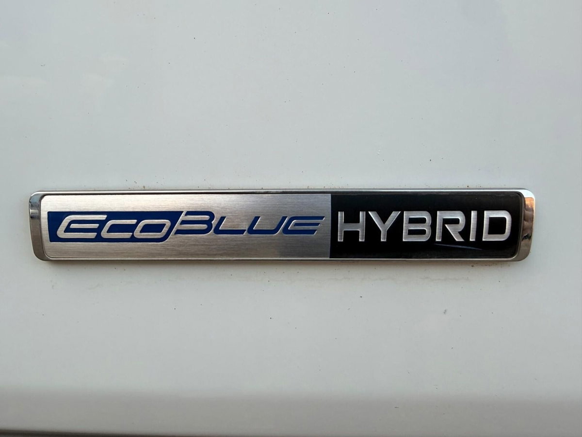 Ford Transit Furgone 350 2.0TDCi EcoBlue 130CV PL-TM Combi Trend N1 (20)