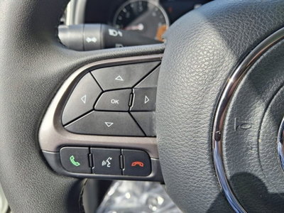 Jeep Renegade 1.6 Mjt 130 CV Limited (15)