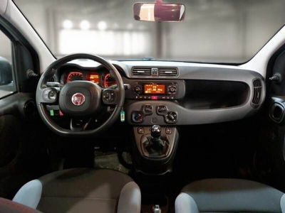 Fiat Panda 1.2 Easy usata