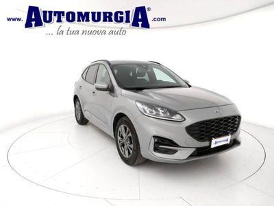 Ford Kuga 1.5 EcoBlue 120 CV aut. 2WD ST-Line X usata